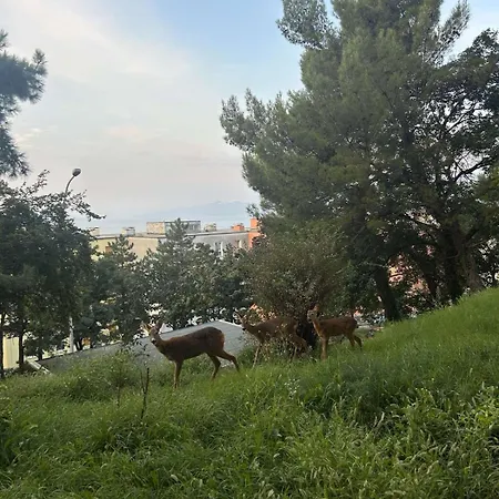 Jasna Διαμέρισμα